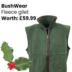 basc competition