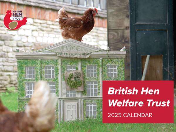 British Hen Welfare Trust competition