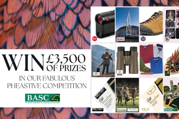 Basc competition