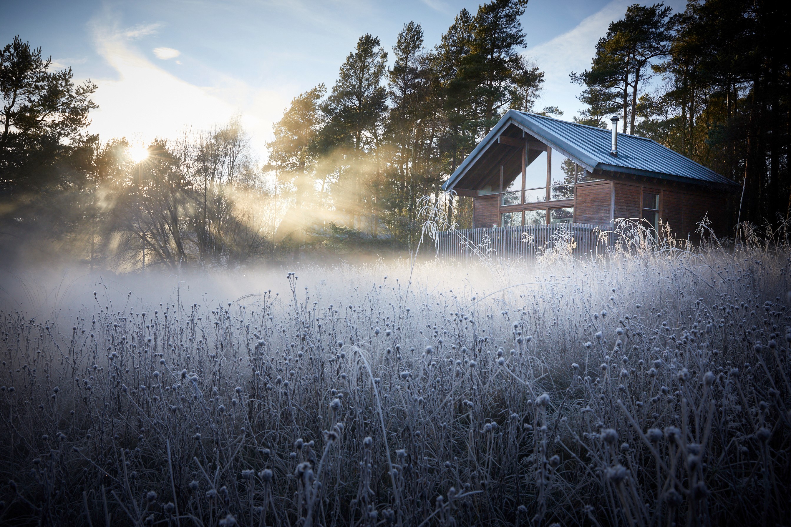 forestryengland competition