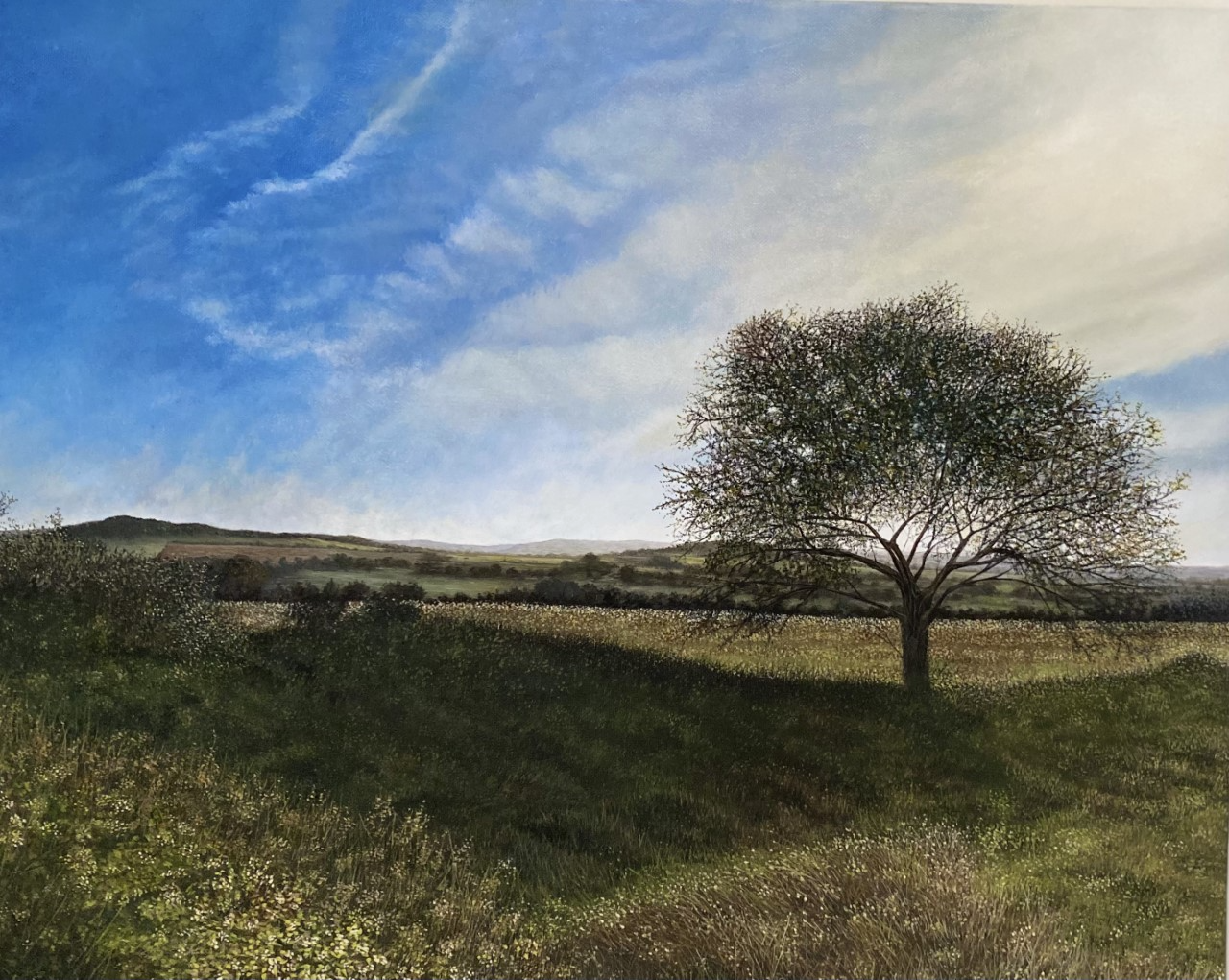 Artistsandillustrators competition