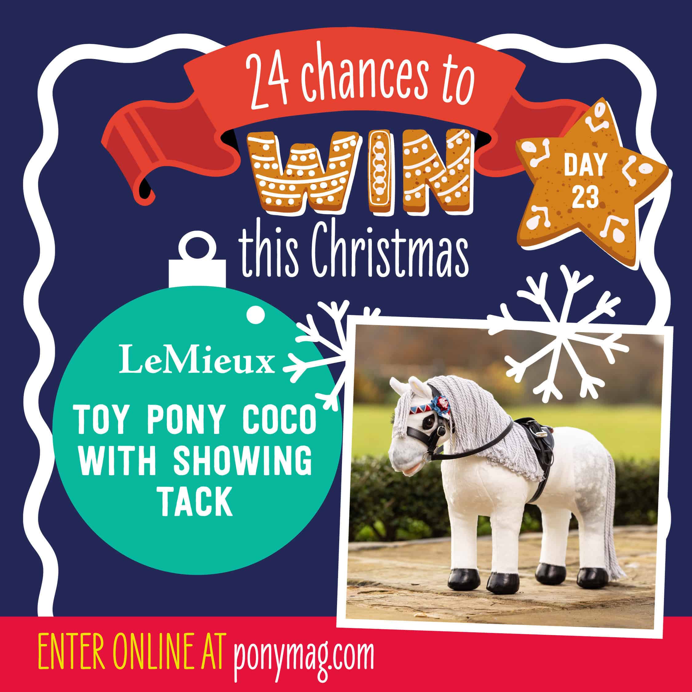 ponymag competition