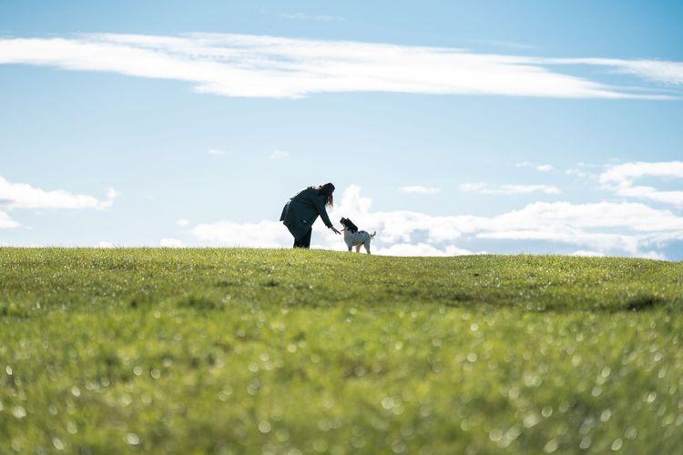 Pawsandstay competition