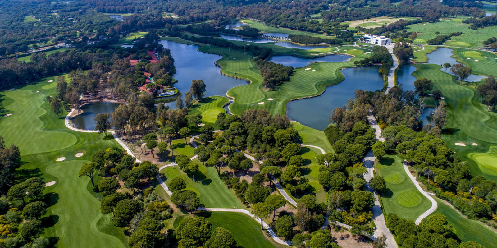 golfnews competition