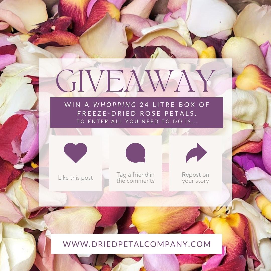 driedpetalcompany competition