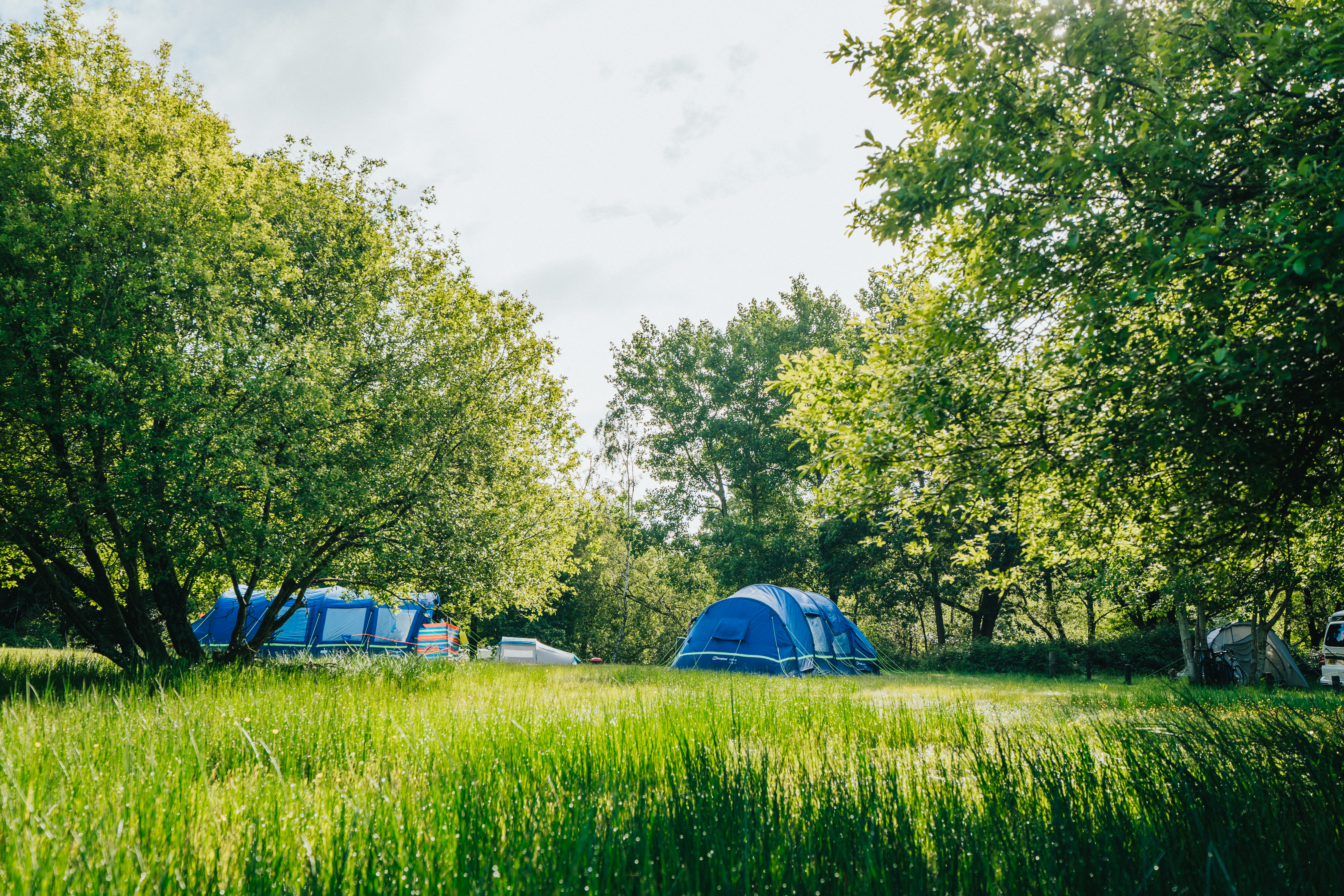 forestryengland competition