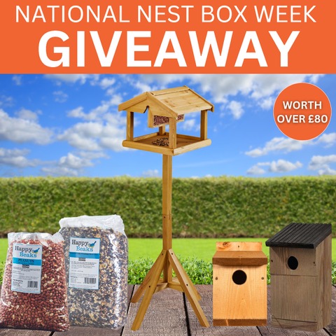 The 3 Growbags competition