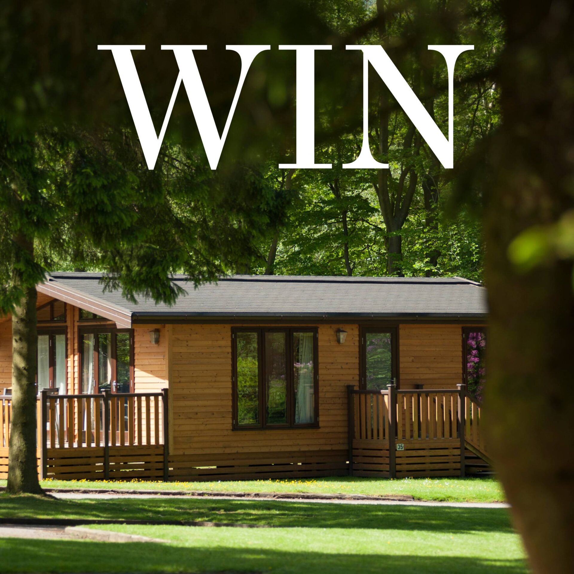 highlifenorth competition