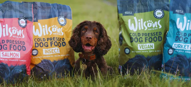 pawsandstay competition