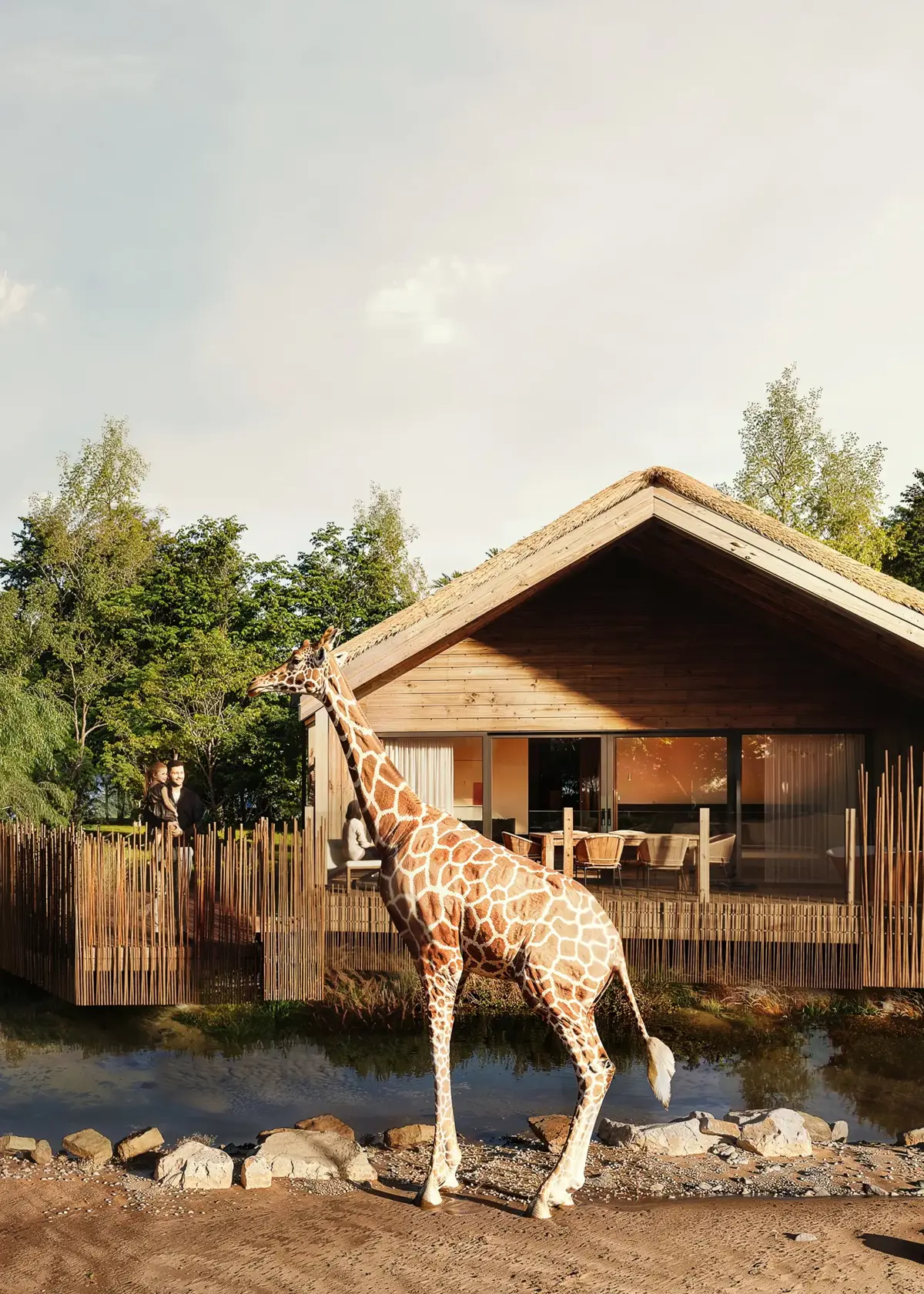 Chester Zoo competition