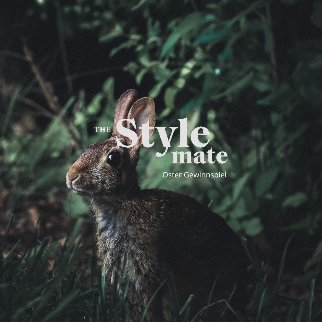 thestylemate competition
