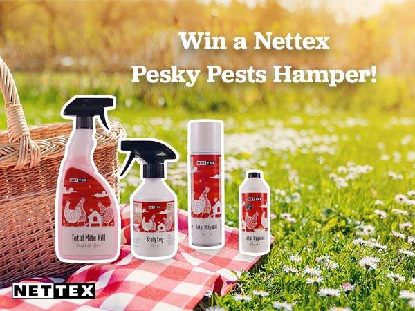 British Hen Welfare Trust competition