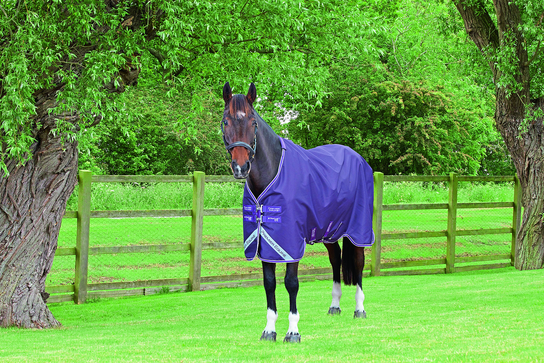 yourhorse competition