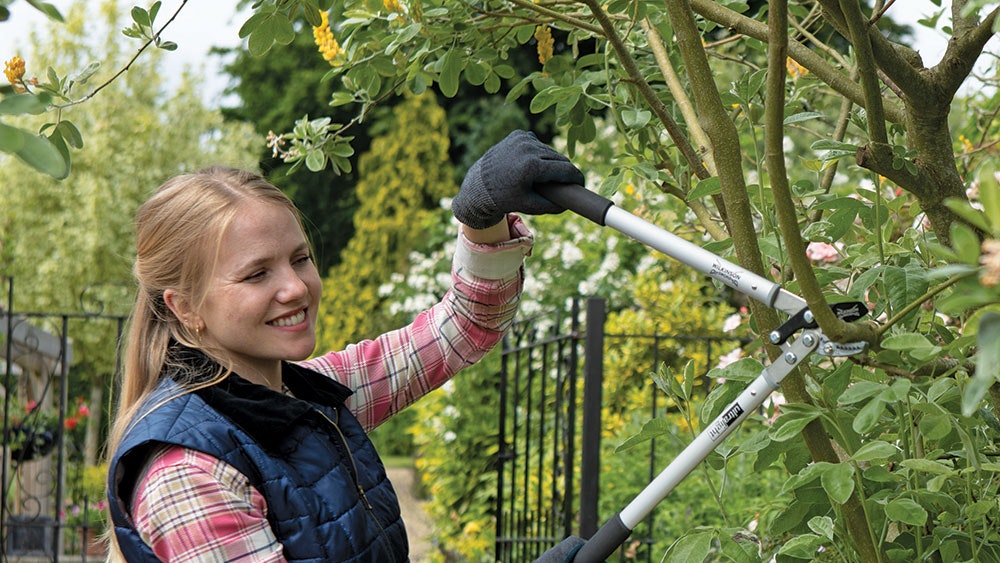 Gardenanswersmagazine competition