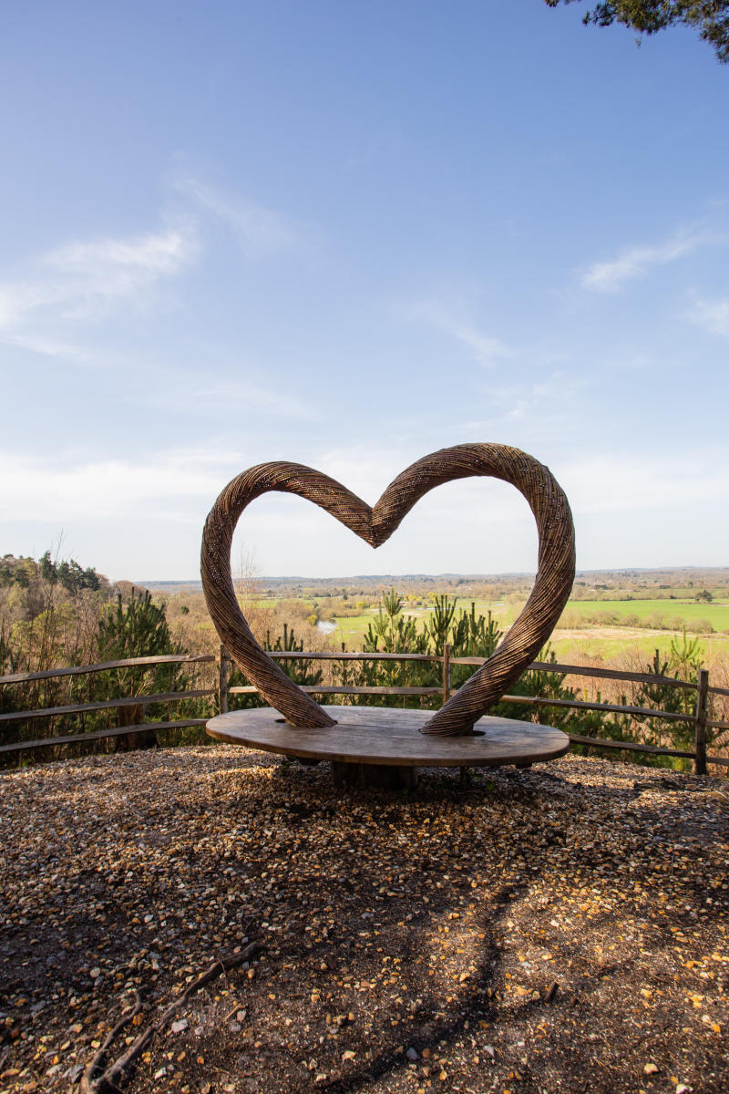 thenewforest competition