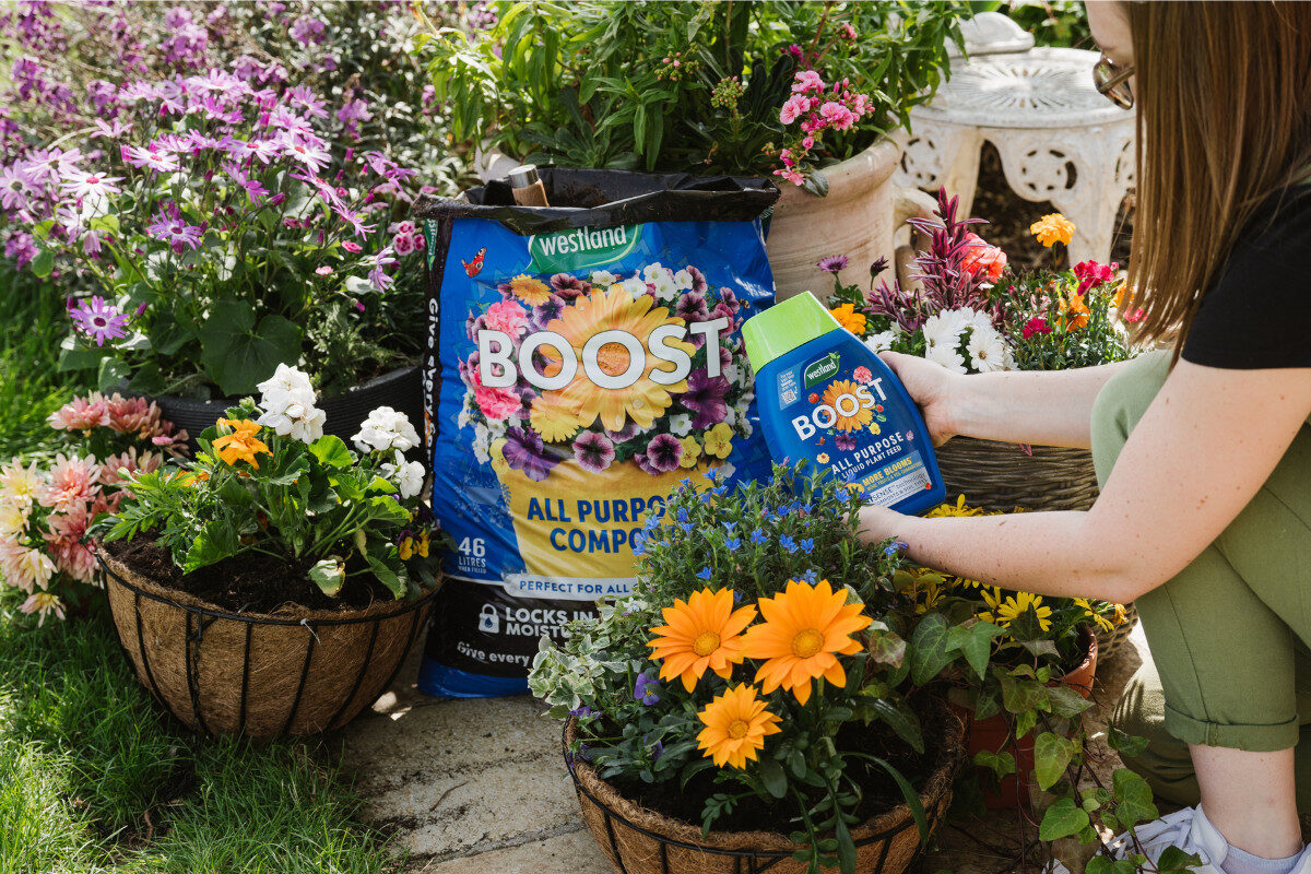 Amateur Gardening competition