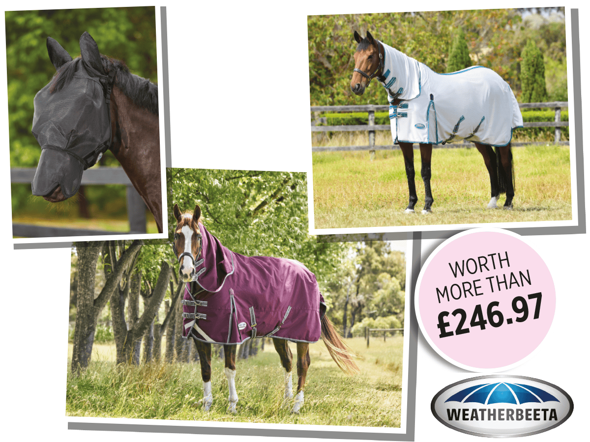 horseandrideruk competition