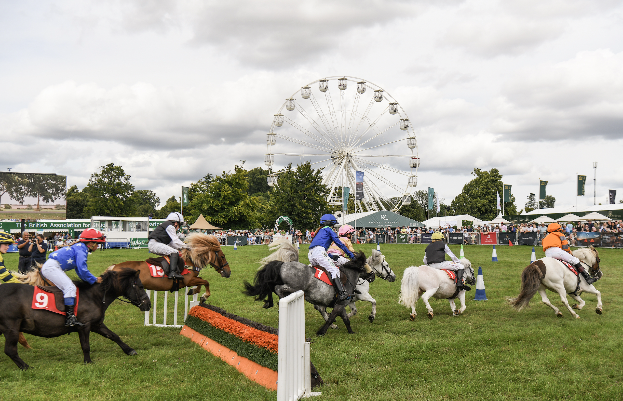 yourhorse competition