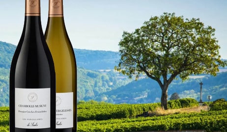 Wine-Pages competition