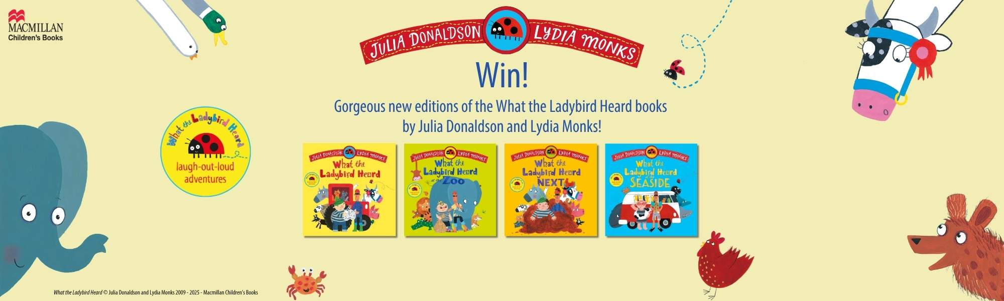Little Bird competition
