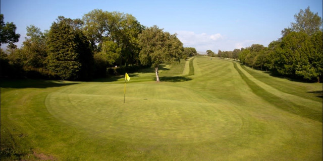 Golfshake competition