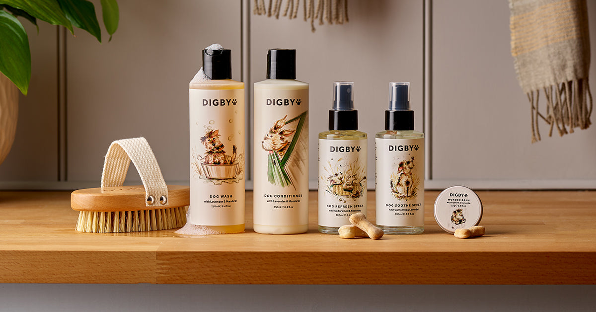 digbydog competition