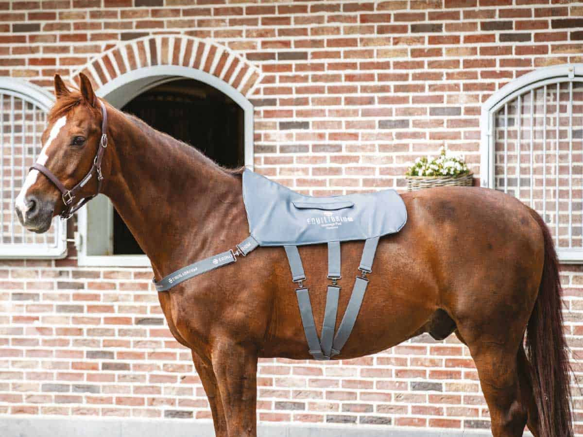 horseandrideruk competition