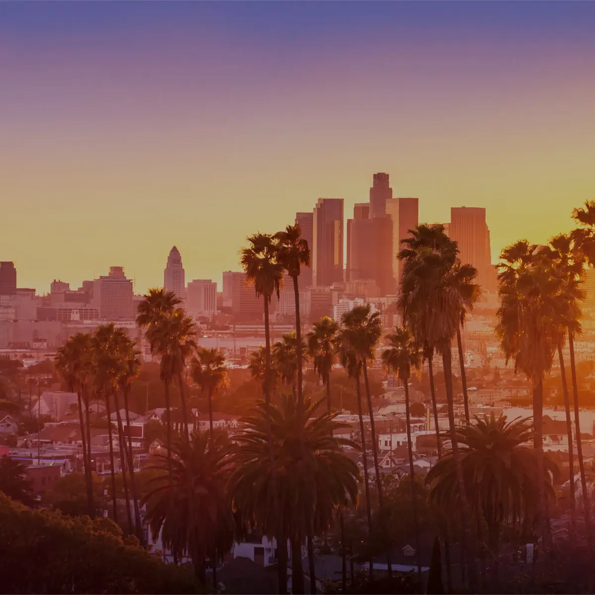 hollywoodbowl competition