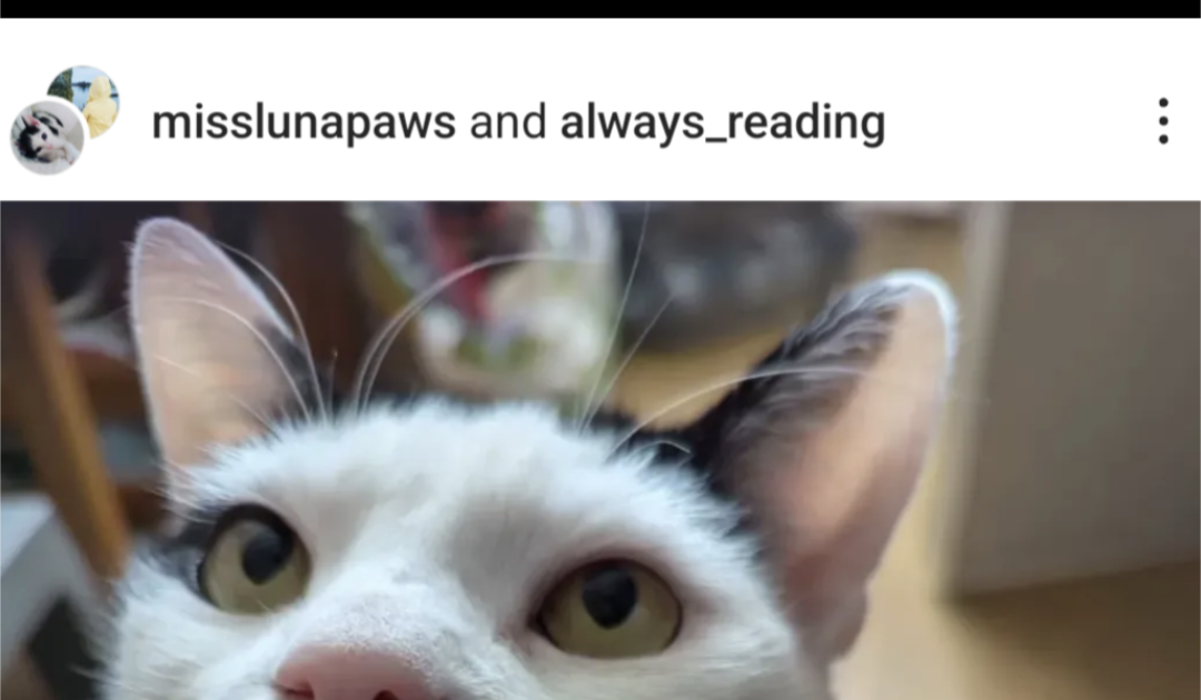 Alwaysreading competition
