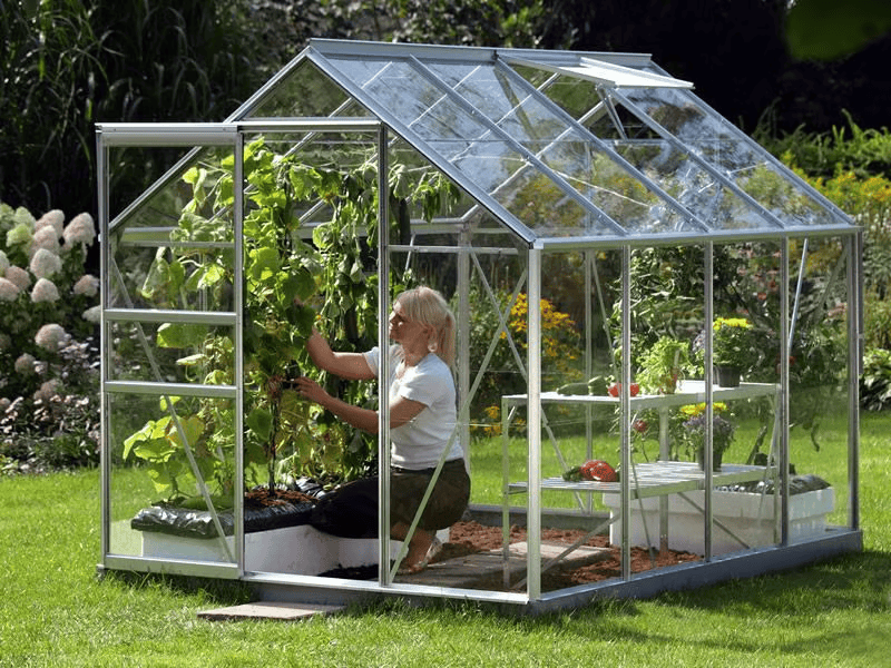Allotmentonline competition