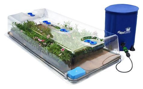 Allotmentonline competition