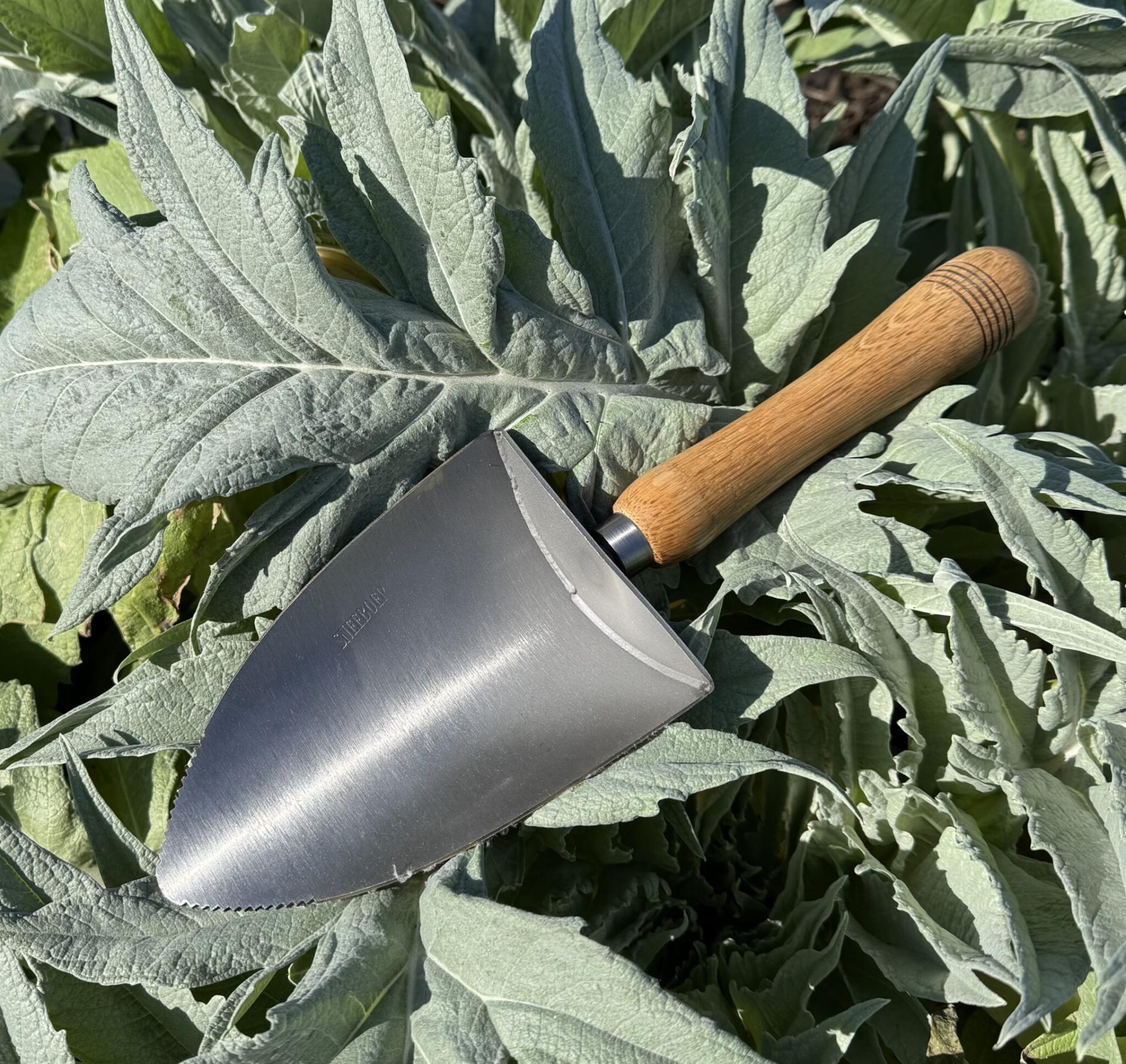 Allotmentonline competition