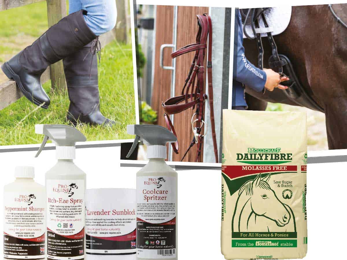 Horseandrideruk competition