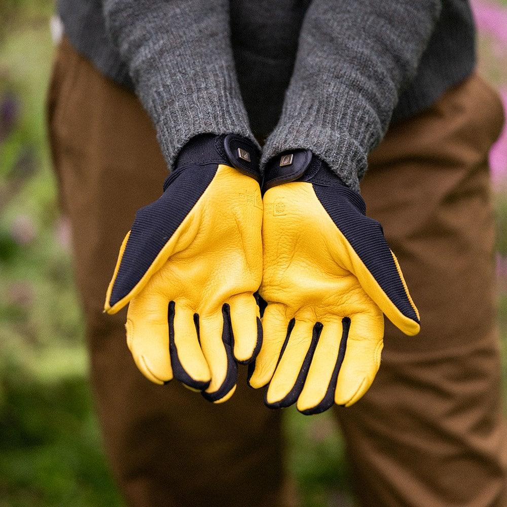 allotmentonline competition