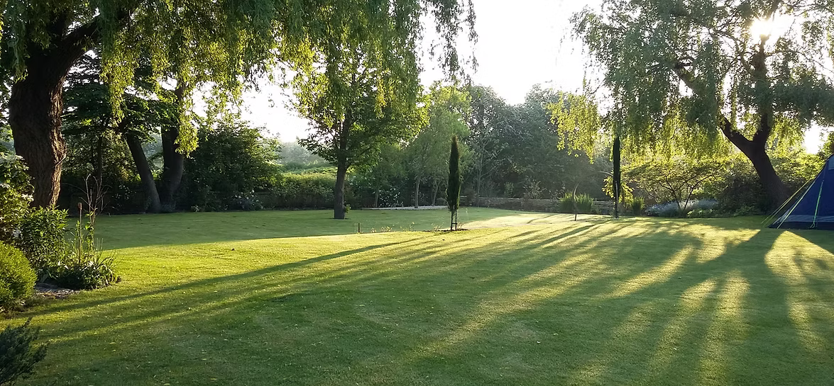 allotmentonline competition