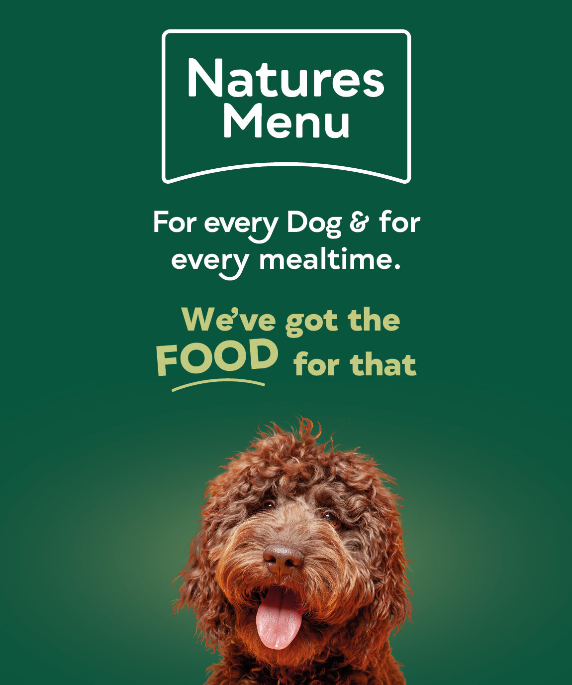 Northernlifemagazine competition