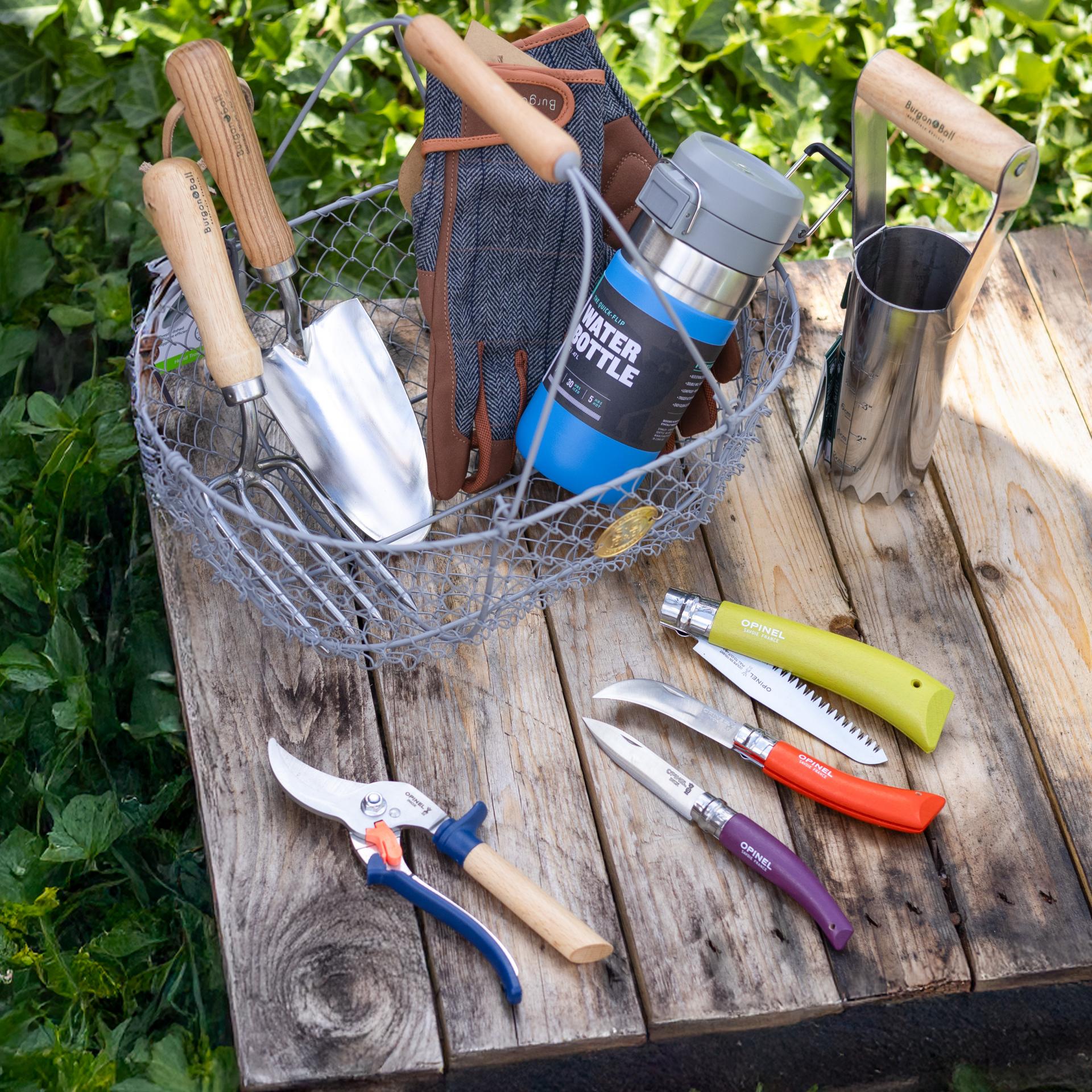 allotmentonline competition
