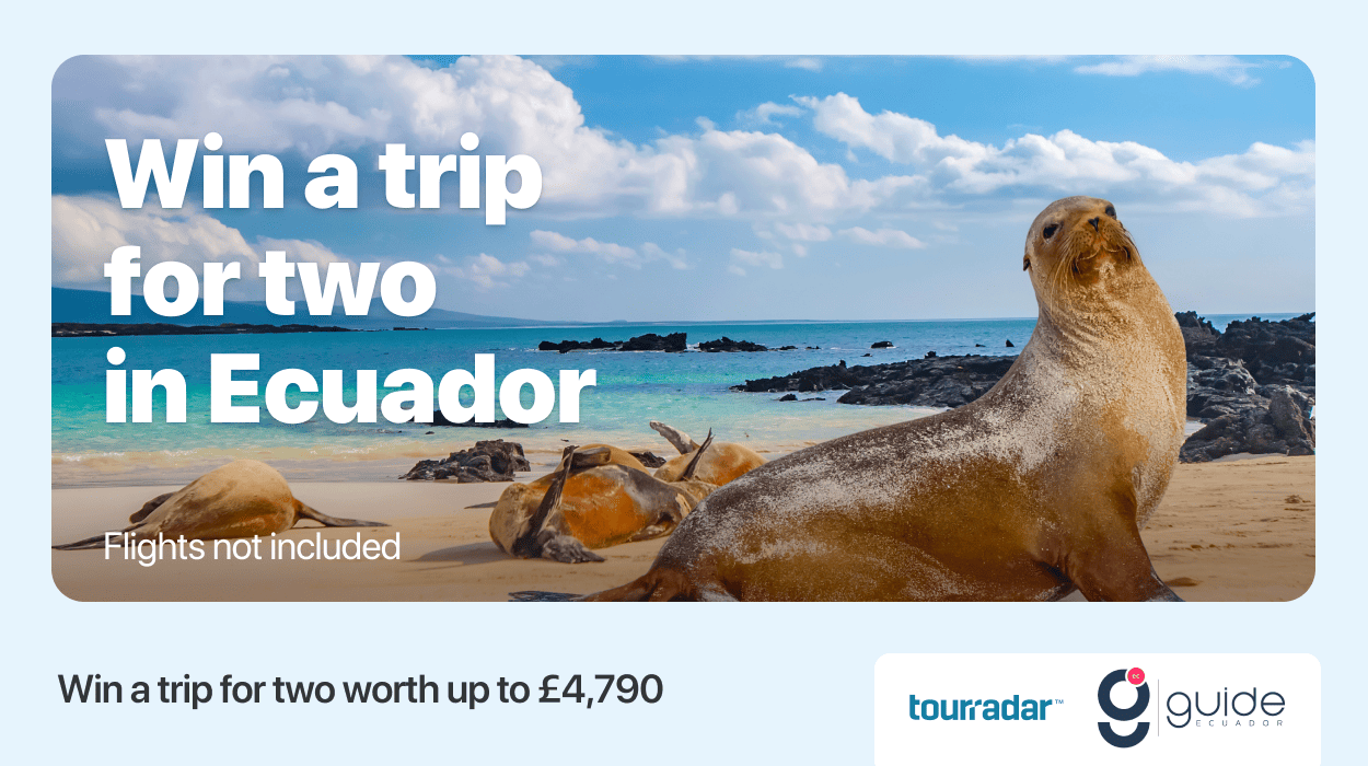 tourradar competition