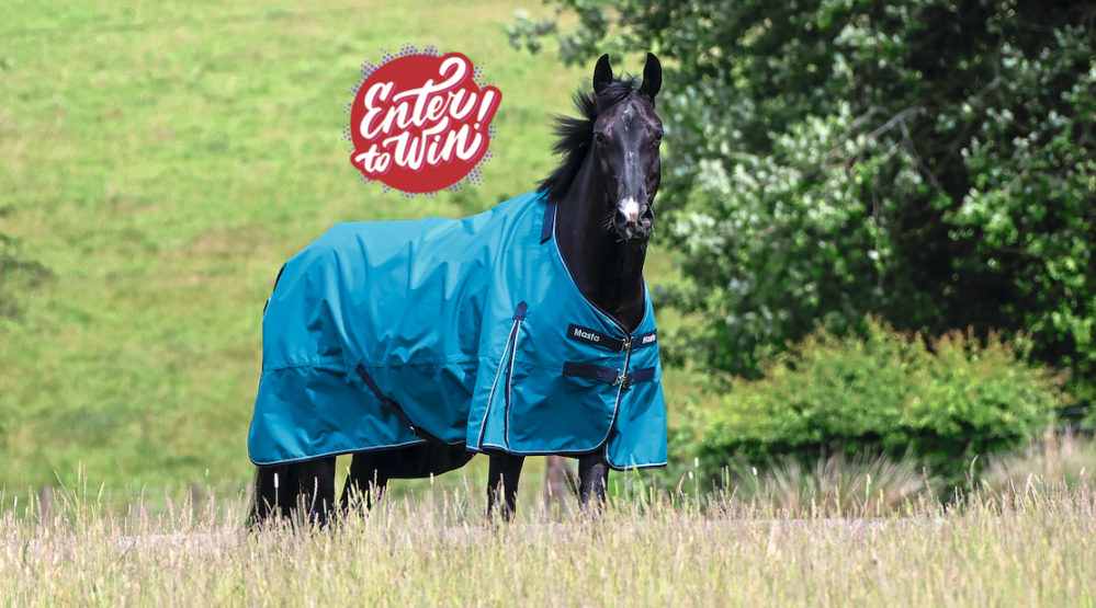 yourhorse competition