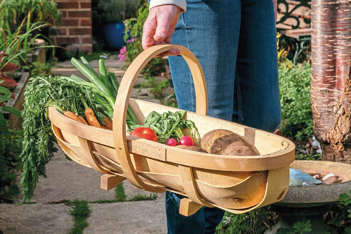 Kitchengarden competition