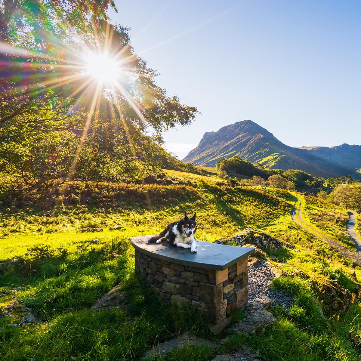 secretescapes competition