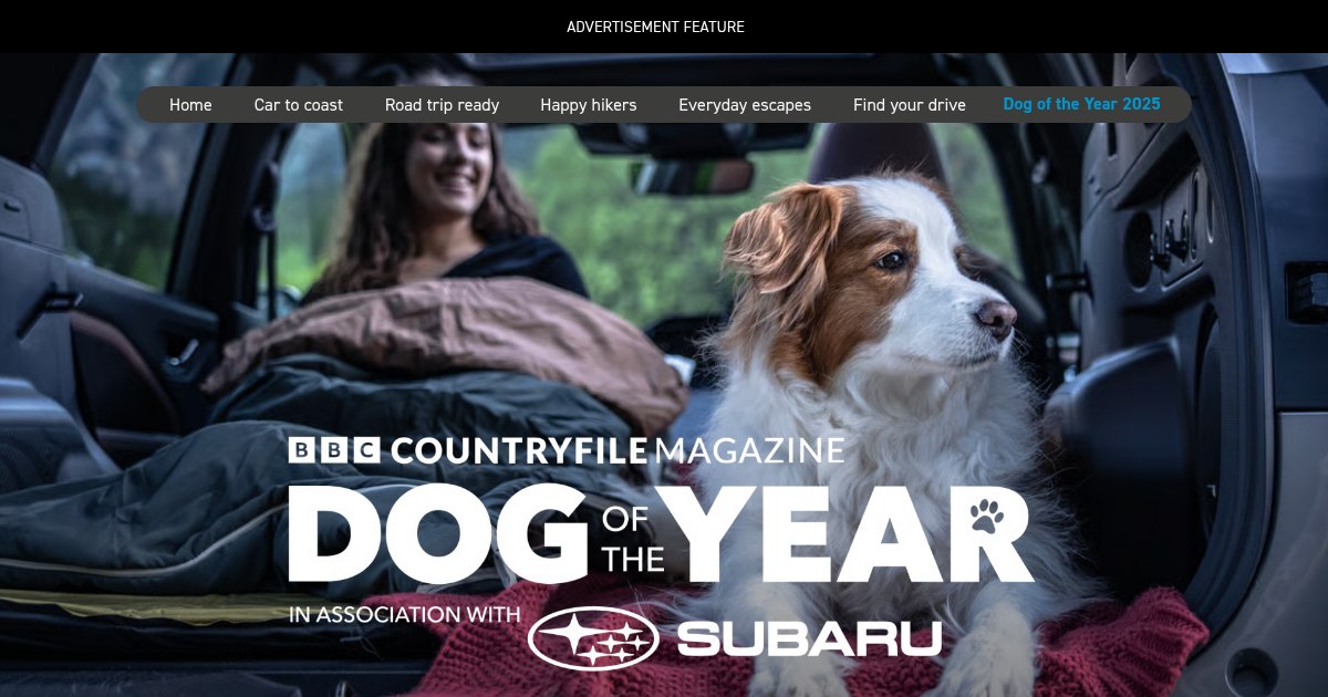 ourmedia competition