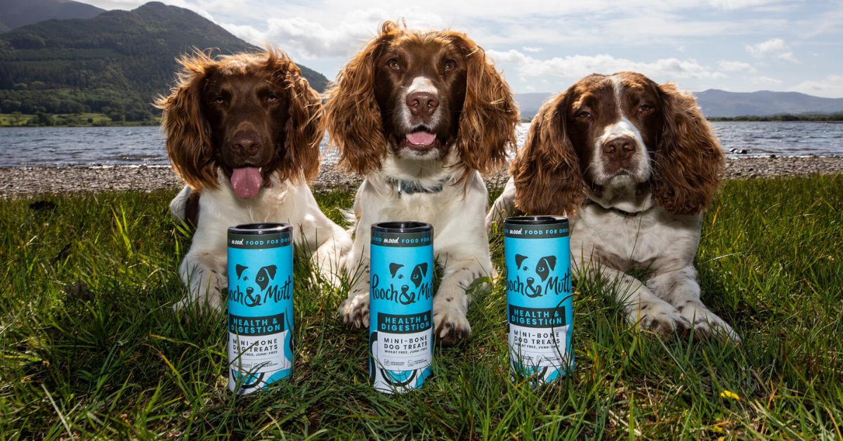 poochandmutt competition