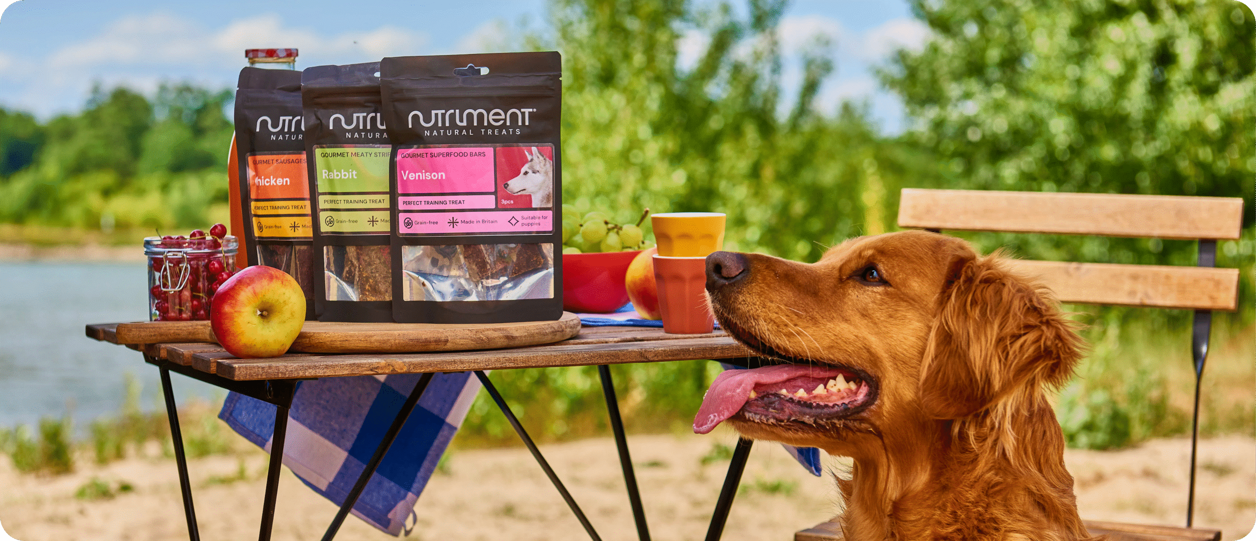 dogfest competition