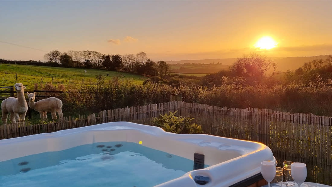 visitdevon competition