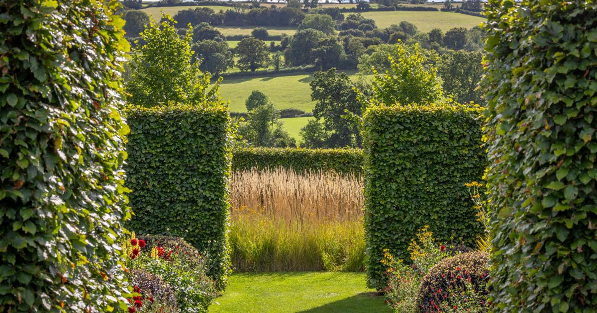 greatbritishlife competition