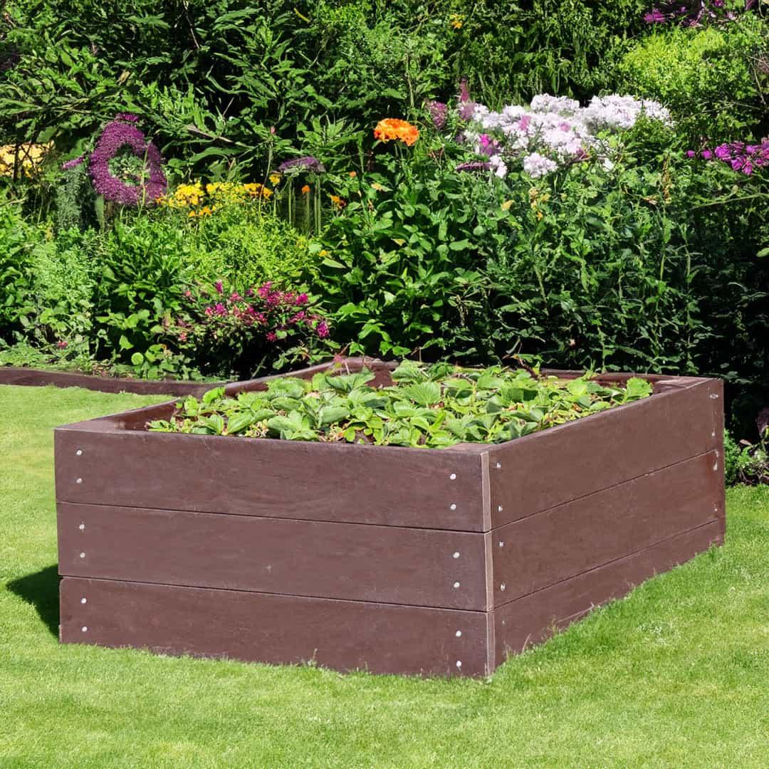 Allotmentonline competition