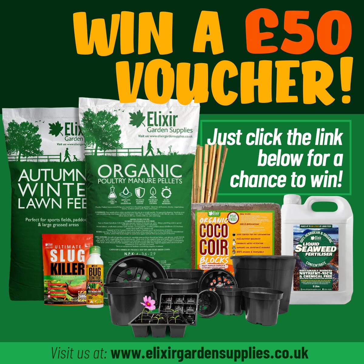 allotmentonline competition