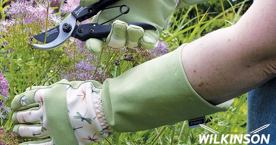 gardenersworld competition