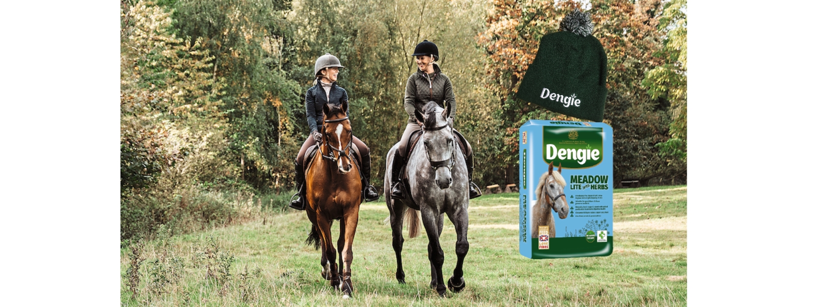 yourhorse competition